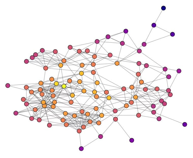 Network Graph Diamond Digital Marketing International
